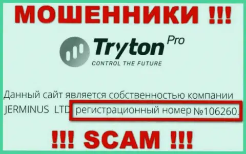 Регистрационный номер организации Tryton Pro, возможно, что и липовый - 106260