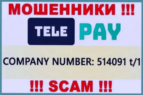Номер регистрации ТелеПай, который показан мошенниками на их web-сайте: 514091 t/1