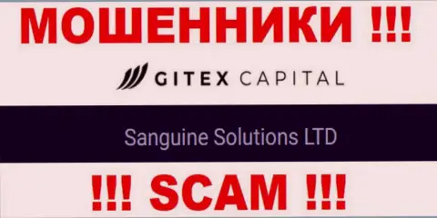 Юридическое лицо GitexCapital - это Sanguine Solutions LTD, такую инфу предоставили мошенники у себя на сайте