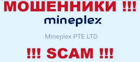Владельцами Mine Plex является компания - Mineplex PTE LTD