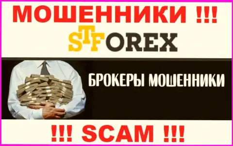 Мошенники ST Forex только лишь задуривают мозги валютным трейдерам, обещая баснословную прибыль