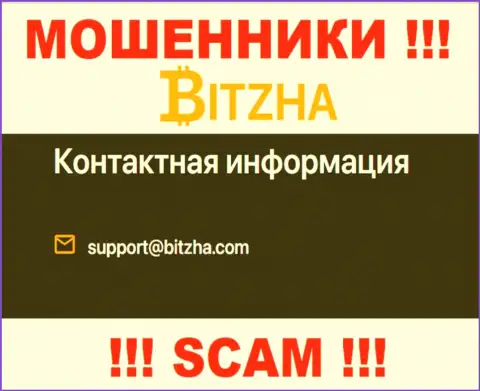 Е-мейл ворюг Bitzha24 Com, информация с официального сайта