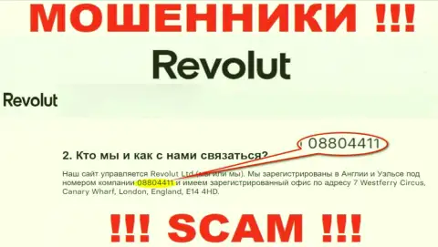 Будьте очень осторожны, наличие регистрационного номера у организации Revolut (08804411) может быть заманухой