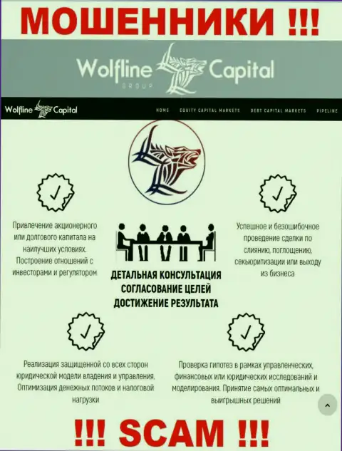 Не стоит верить, что область деятельности Wolfline Capital - Финансовый консалтинг легальна - разводняк