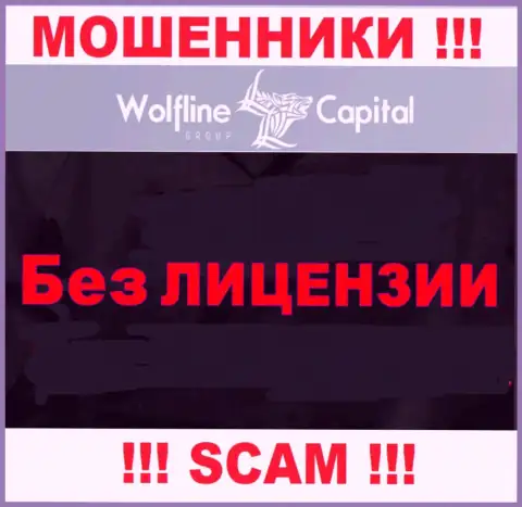 Нереально нарыть информацию об лицензии internet-воров Wolfline Capital - ее просто не существует !!!