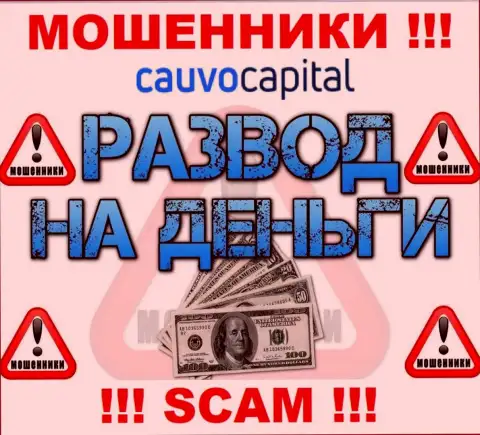 Даже и не надейтесь, что с компанией Cauvo Capital возможно нарастить прибыль, Вас накалывают
