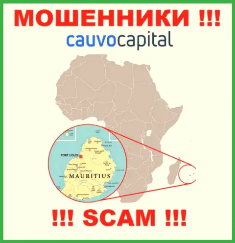 Контора Cauvo Capital сливает вложенные денежные средства клиентов, расположившись в оффшоре - Mauritius