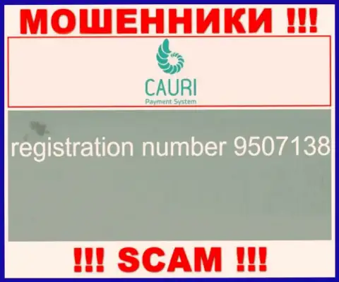 Регистрационный номер, который принадлежит жульнической организации Cauri LTD - 9507138