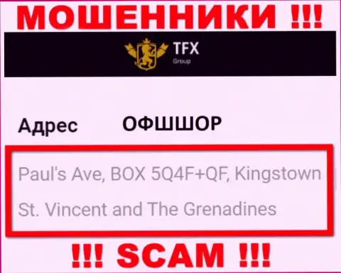 Не связывайтесь с конторой TFX Group - указанные интернет мошенники скрылись в офшоре по адресу: Paul's Ave, BOX 5Q4F+QF, Kingstown, St. Vincent and The Grenadines