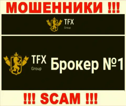 Не нужно доверять финансовые средства TFX Group, т.к. их сфера деятельности, Forex, ловушка