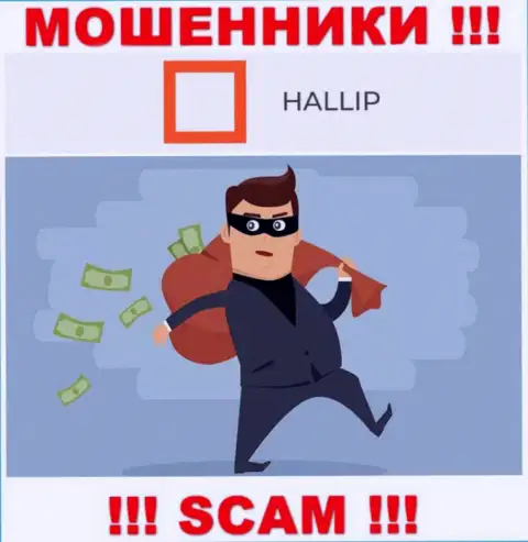 Работая совместно с дилинговой организацией Hallip Com вы не заработаете ни копеечки - не вводите дополнительно денежные активы
