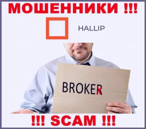 Тип деятельности internet жуликов Hallip Com - это Брокер, однако имейте ввиду это разводилово !!!