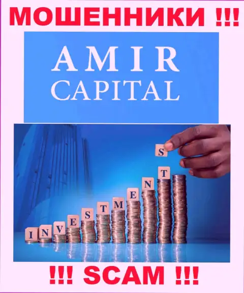 Не вводите денежные средства в Amir Capital, направление деятельности которых - Инвестиции