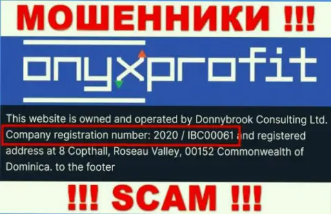 Рег. номер, который присвоен организации OnyxProfit Pro - 2020 / IBC00061