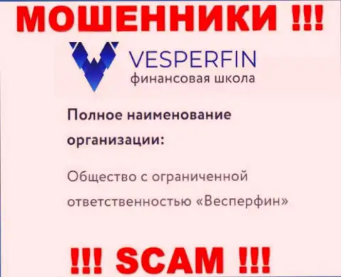 Сведения про юридическое лицо интернет махинаторов VesperFin Com - ООО Весперфин, не сохранит вас от их грязных рук