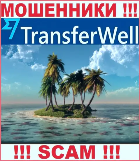 Не попадите в капкан мошенников TransferWell - не указывают инфу об местонахождении