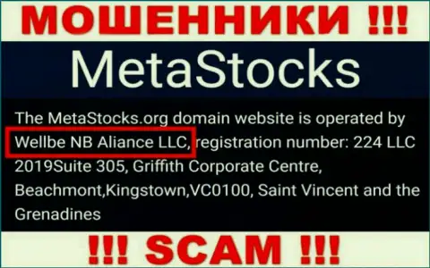 Юридическое лицо конторы MetaStocks - это Wellbe NB Aliance LLC, информация позаимствована с официального сайта