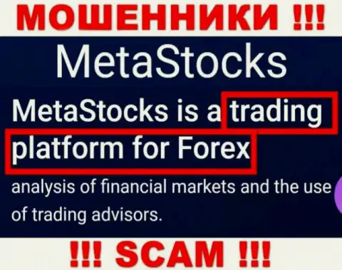 Деятельность мошенников Meta Stocks: Торговая платформа - это капкан для доверчивых клиентов