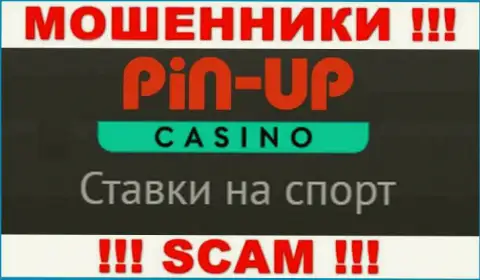 Основная деятельность Pin Up Casino - это Казино, будьте крайне бдительны, промышляют противоправно