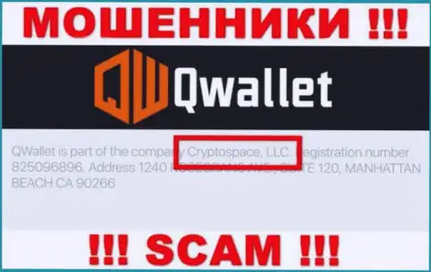На официальном сайте Q Wallet сказано, что данной компанией владеет Cryptospace LLC