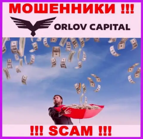 Orlov Capital стараются развести на сотрудничество ? Будьте очень бдительны, лохотронят