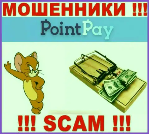 Point Pay - это МОШЕННИКИ, не верьте им, если будут предлагать разогнать депозит
