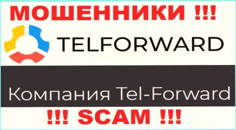 Юр лицо Tel-Forward - это Тел-Форвард, такую инфу показали мошенники на своем информационном сервисе