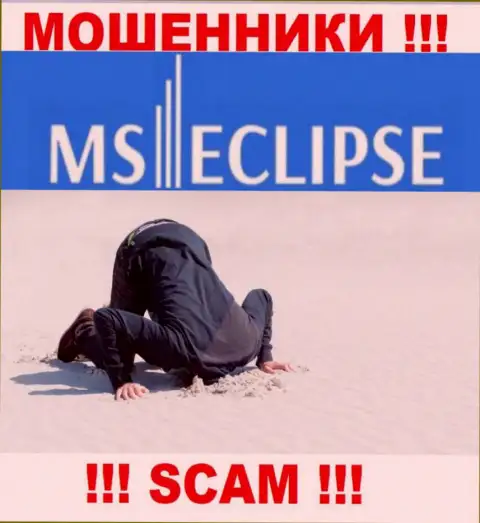 С MS Eclipse весьма рискованно работать, так как у конторы нет лицензии и регулятора