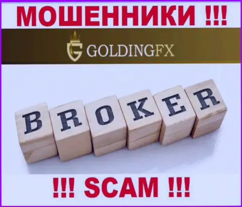 Брокер - это то, чем промышляют internet мошенники Golding FX