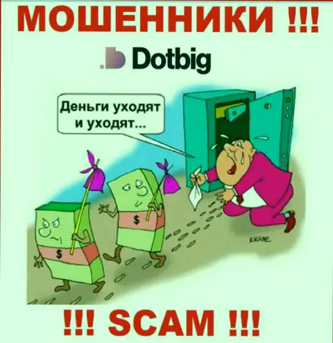 Вы заблуждаетесь, если ждете доход от сотрудничества с DotBig LTD - это МОШЕННИКИ !!!