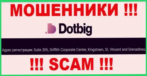 Все клиенты Dot Big однозначно будут ограблены - указанные интернет мошенники скрылись в офшорной зоне: Сьюит 305, Корпоративный Центр Гриффитш, Кингстаун, Сент-Винсент и Гренадины