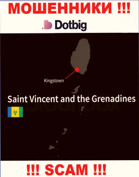 DotBig LTD имеют офшорную регистрацию: Kingstown, St. Vincent and the Grenadines - будьте крайне бдительны, кидалы