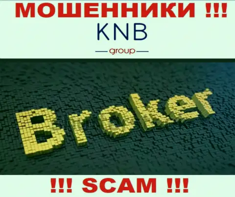 Тип деятельности преступно действующей компании KNB-Group Net - это Брокер