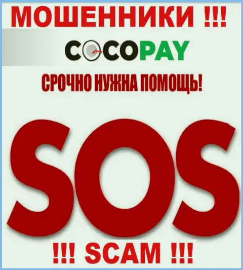 Можно попытаться забрать назад финансовые средства из конторы Coco Pay Com, обращайтесь, расскажем, как действовать