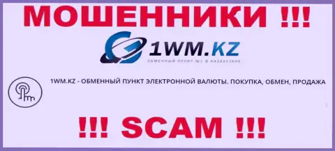 Деятельность интернет-мошенников 1 WM Kz: Интернет обменник - это капкан для доверчивых клиентов