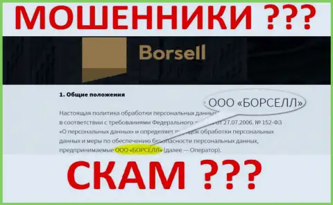 ООО БОРСЕЛЛ - это организация, которая руководит интернет-мошенниками Borsell Ru