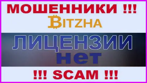 Мошенникам Bitzha24 Com не выдали лицензию на осуществление деятельности - воруют деньги
