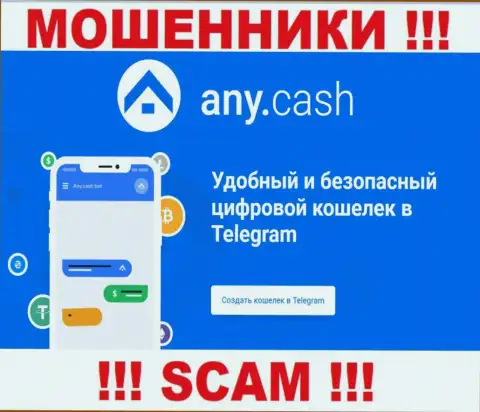Any Cash - это internet-мошенники, их деятельность - Цифровой кошелёк, нацелена на слив вложенных средств клиентов