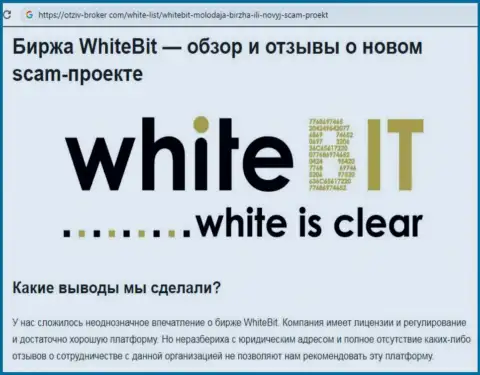 Совместно работать с White Bit не следует - мошенническая дилинговая организация криптовалютного рынка (комментарий)