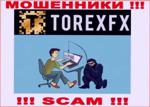 Мошенники TorexFX Com могут постараться развести Вас на деньги, но знайте - опасно
